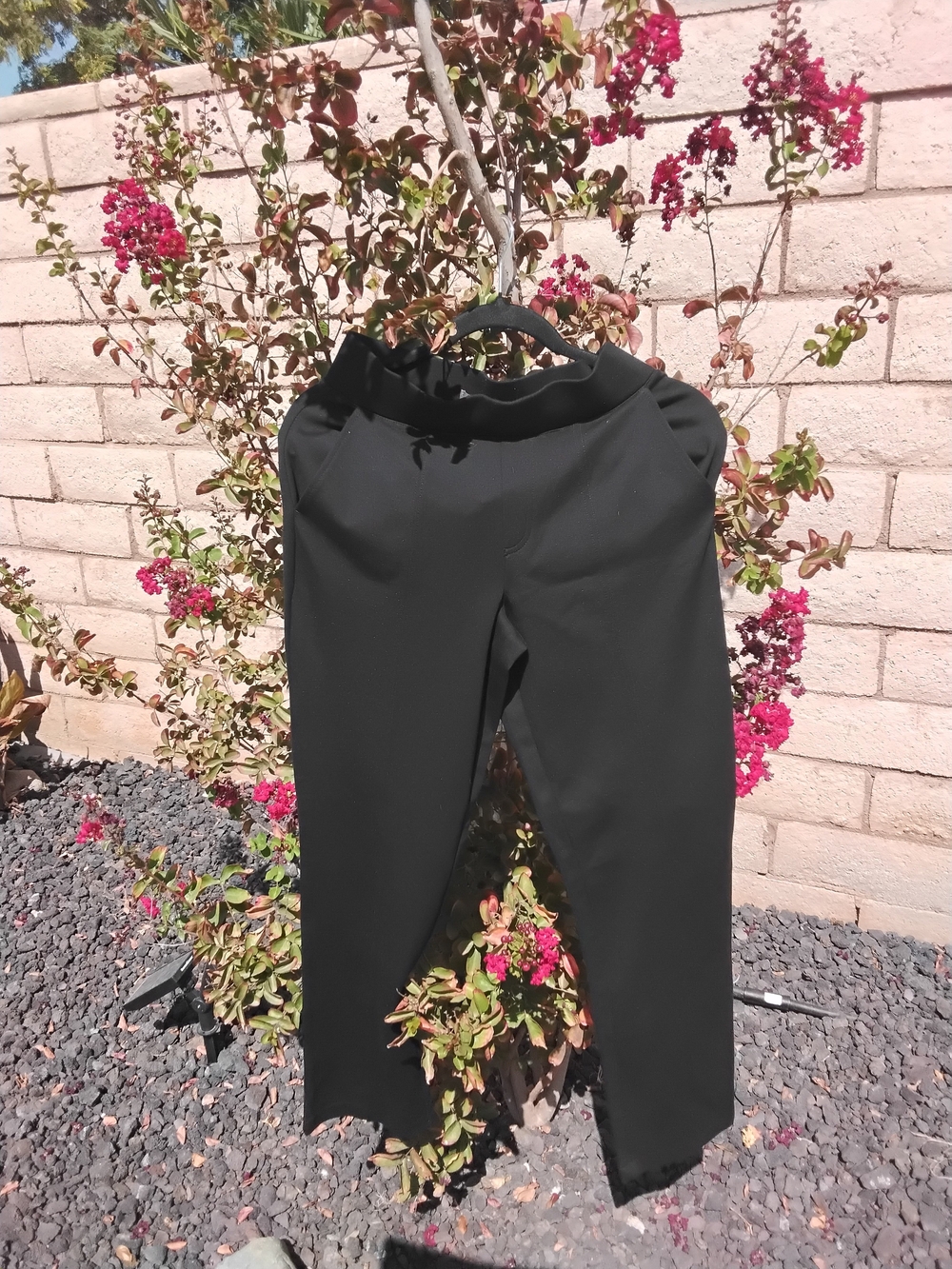 Matty M Black Knit Pull-On Pants